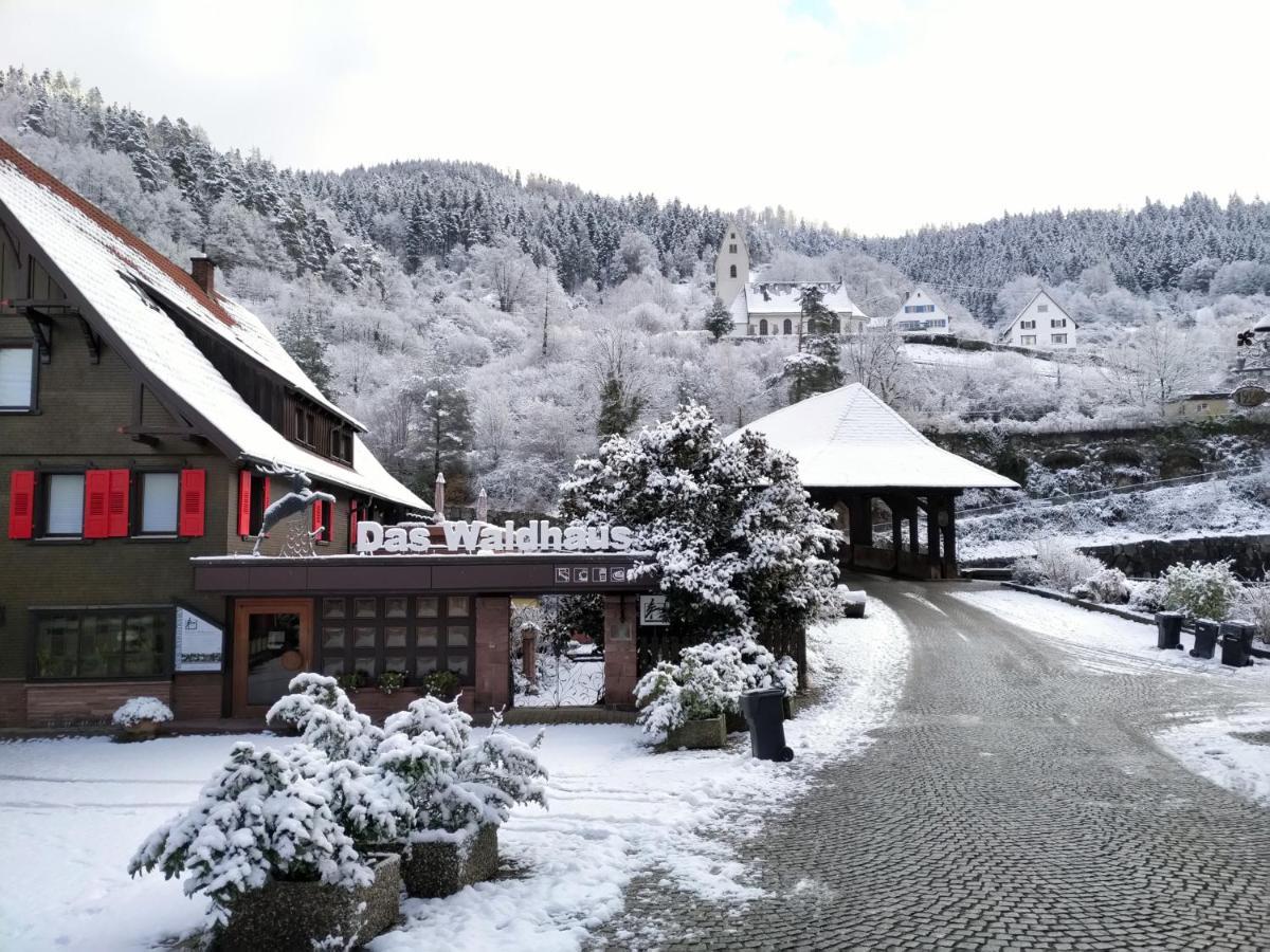 Das Waldhaus 포바흐 외부 사진